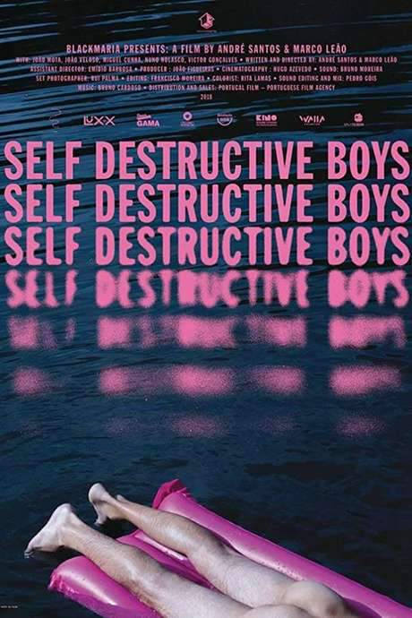 Self Destructive Boys (2018) movie poster