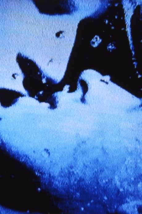 Self-Portrait in 23 Rounds: a Chapter in David Wojnarowicz’s Life, 1989–1991 (2018) movie poster