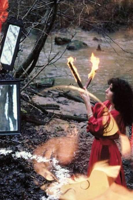 Selva. A Portrait of Parvaneh Navaï (1982) movie poster