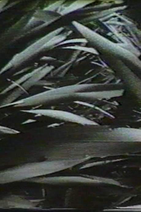 Sensation ’77: Mimicry (1977) movie poster