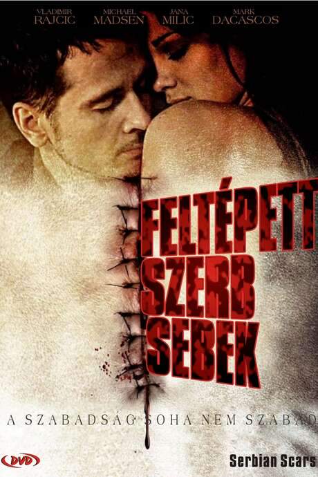 Serbian Scars (2009) movie poster
