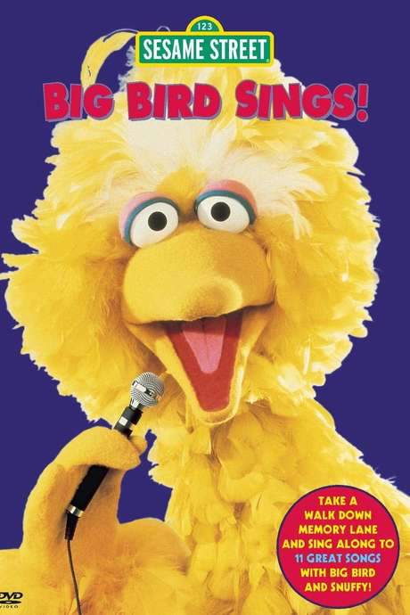 Sesame Street: Big Bird Sings! (2005) movie poster