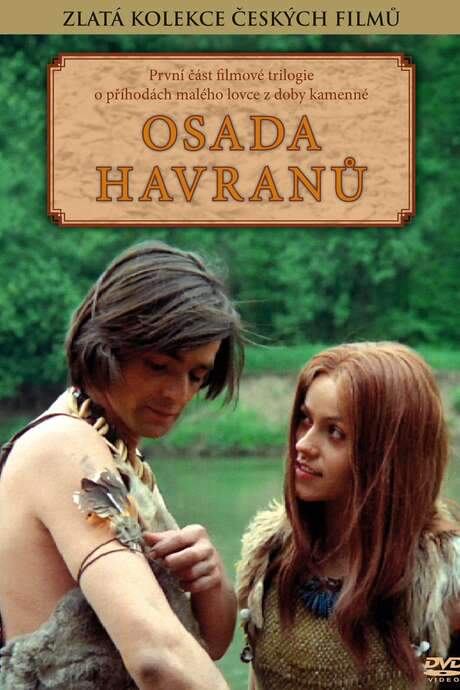 Settlement of Crows (1978) movie poster