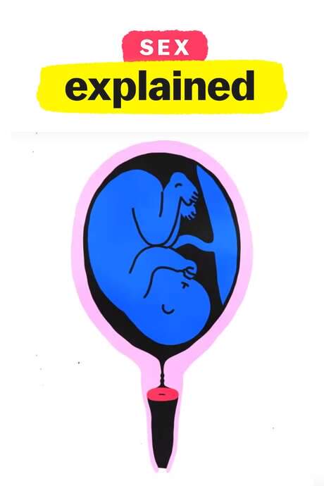 Sex, Explained (2020) movie poster