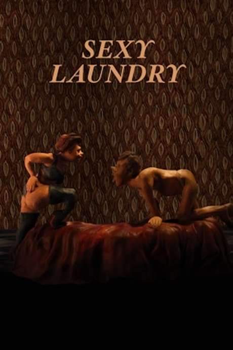 Sexy Laundry (2015) movie poster