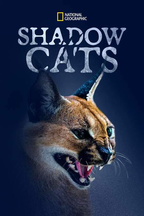 Shadow Cats (2022) movie poster