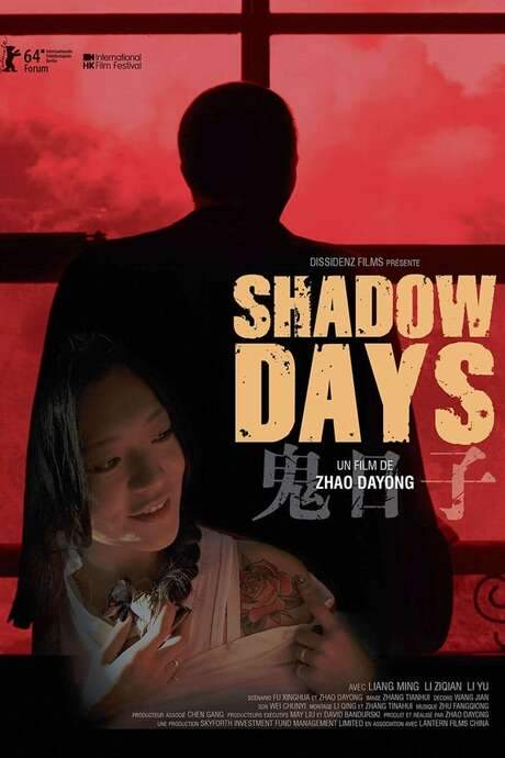 Shadow Days (2014) movie poster