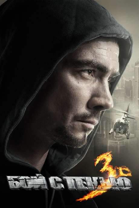 Shadow Boxing 3. The Final Round (2011) movie poster