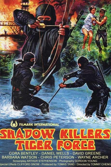 Shadow Killers Tiger Force (1986) movie poster