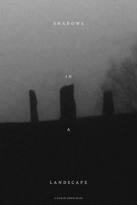 Shadows in a Landscape (2020) movie poster