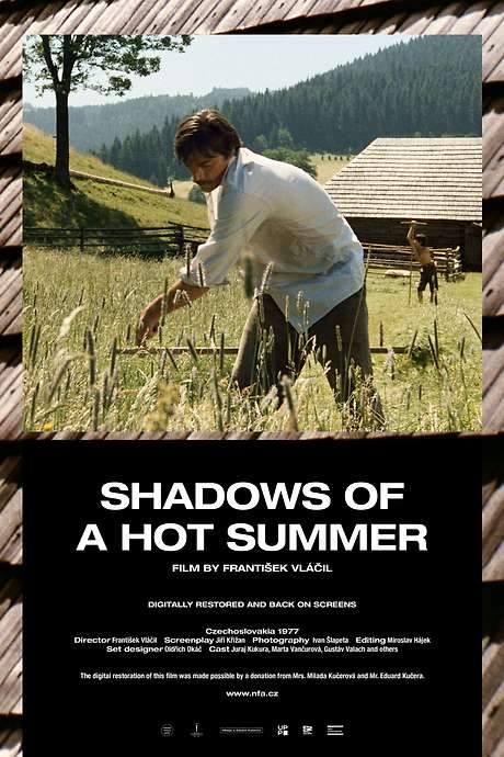 Shadows of a Hot Summer (1978) movie poster