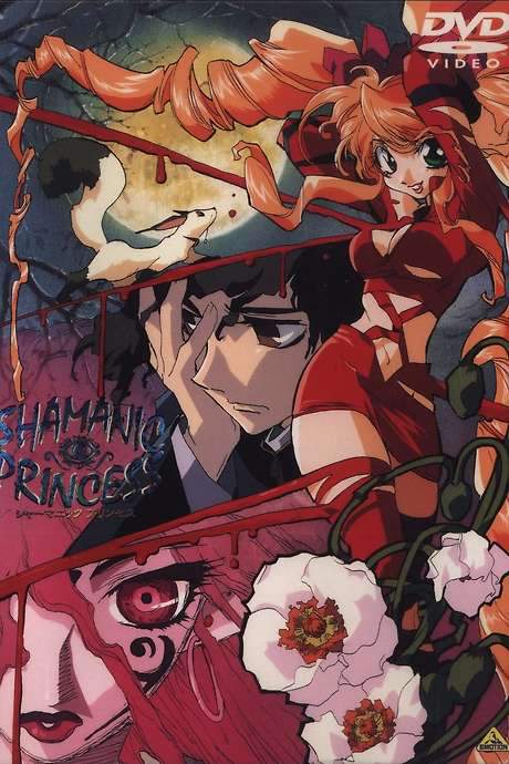 Shamanic Princess (1996) movie poster