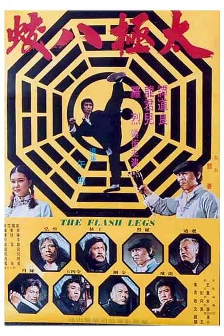 Shaolin Deadly Kicks (1977) movie poster