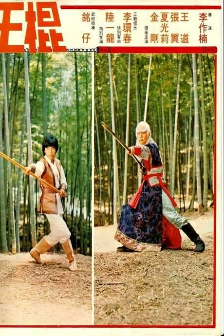 Shaolin Invincible Sticks (1978) movie poster