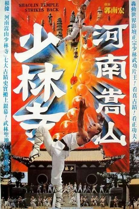 Shaolin Temple Strikes Back (1981) movie poster