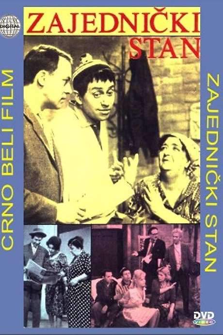 Shared Apartment (1960) movie poster