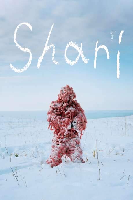 The winter of 2020 on Japan's Shiretoko Peninsula is unusual, with a concerning lack of snow and the absence of typical drift ice. In the village of Shari, where rare wildlife shares space with humans, residents carry on with their routines despite their worries. A shepherd bakes, a hunter prepares venison, a fisherman cleans the shoreline, and another resident observes flying squirrels in their garden, creating a quiet portrait of life in a remote region.