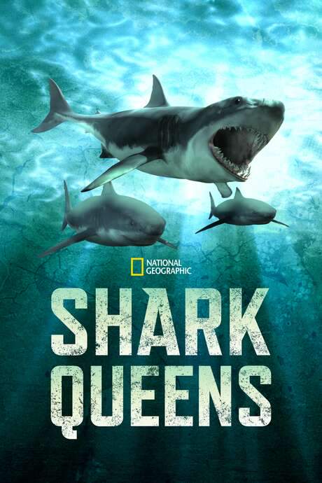 Shark Queens (2022) movie poster