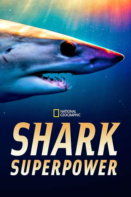 Shark Superpower (2022) movie poster