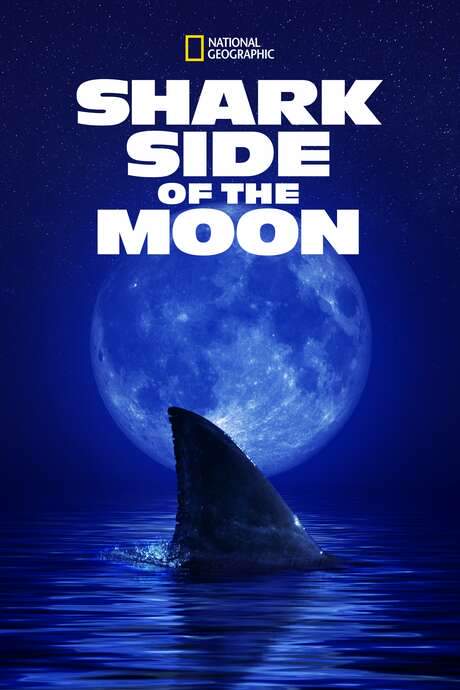 Shark Side of the Moon (2022) movie poster