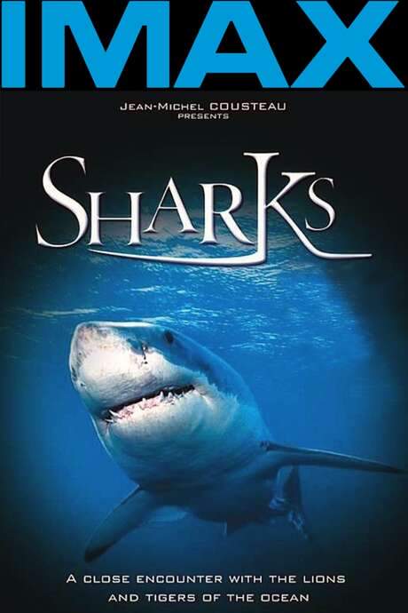 Sharks 3D (2004) movie poster