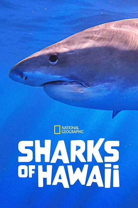 Sharks of Hawaii (2021) movie poster