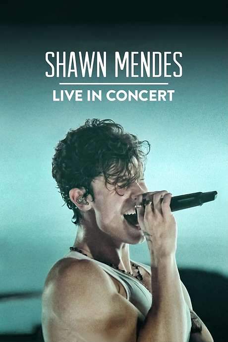 Shawn Mendes: Live in Concert (2020) movie poster