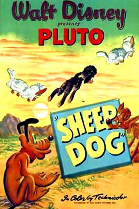 Sheep Dog (1949) movie poster