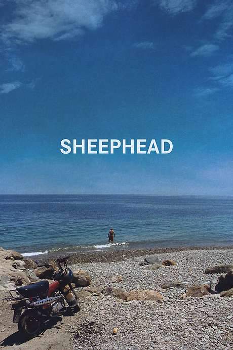 Follows a beach-town fixture who is devastated after receiving some unexpected news.