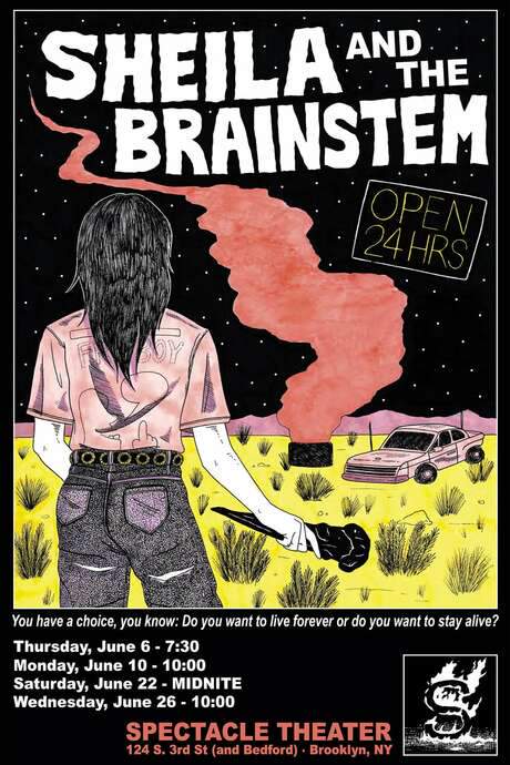 Sheila and the Brainstem (1989) movie poster