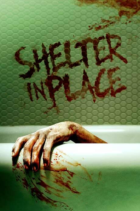 Shelter in Place (2021) movie poster