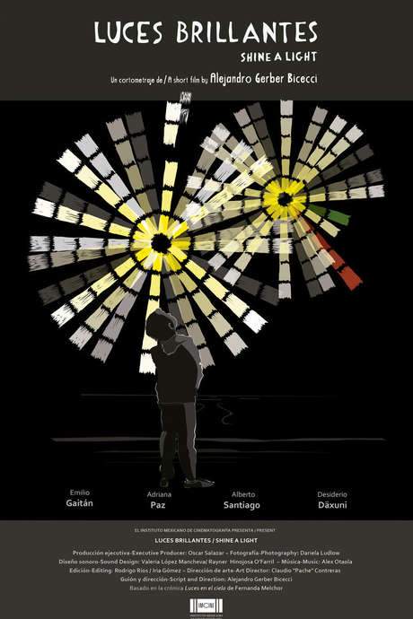 Shine a Light (2016) movie poster