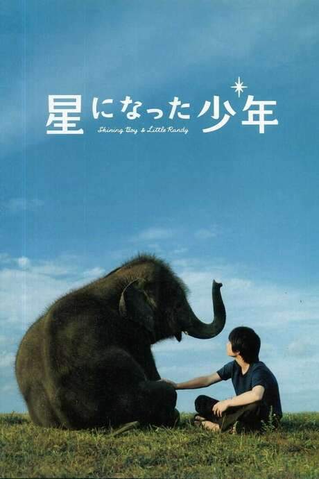 Shining Boy and Little Randy (2005) movie poster