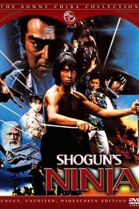 Shogun’s Ninja (1980) movie poster