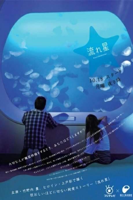 Shooting Star (2010) movie poster