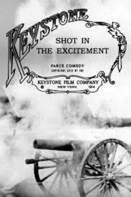 Shot in the Excitement (1914) movie poster