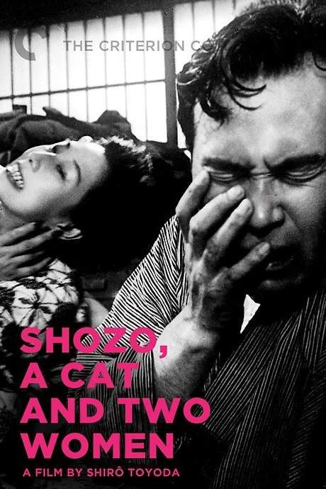 Shozo, a Cat and Two Women (1956) movie poster