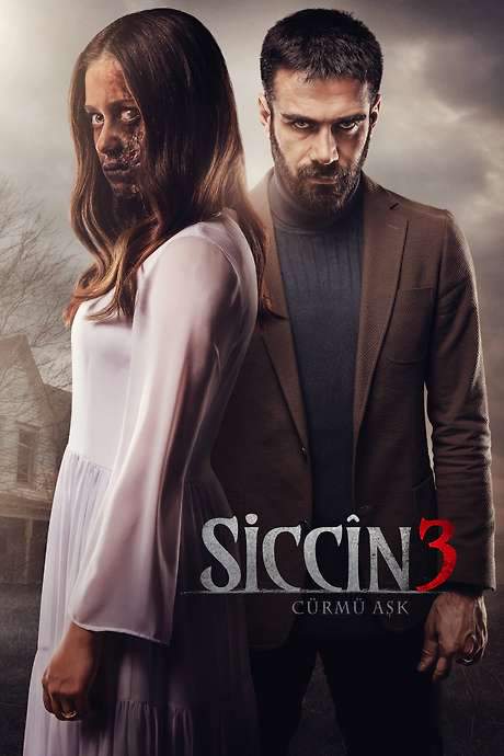 Sijjin 3: The Forbidden Love (2016) movie poster