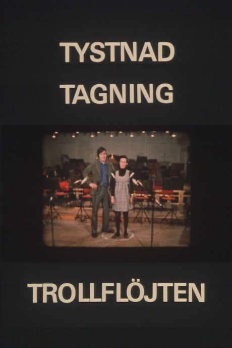 Silence! Cameras! The Magic Flute! (1975) movie poster