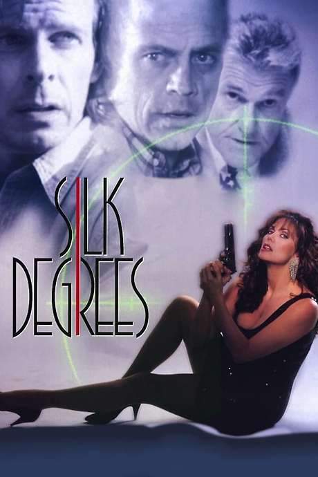 Silk Degrees (1994) movie poster