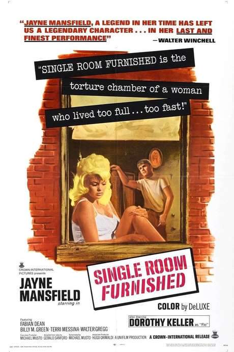 Single Room Furnished (1968) movie poster