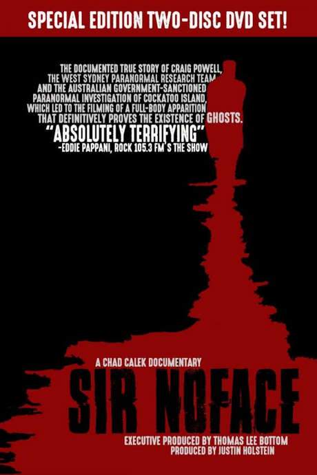 Sir Noface (2016) movie poster