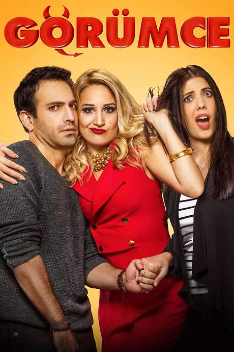 Sister In Law (2016) movie poster