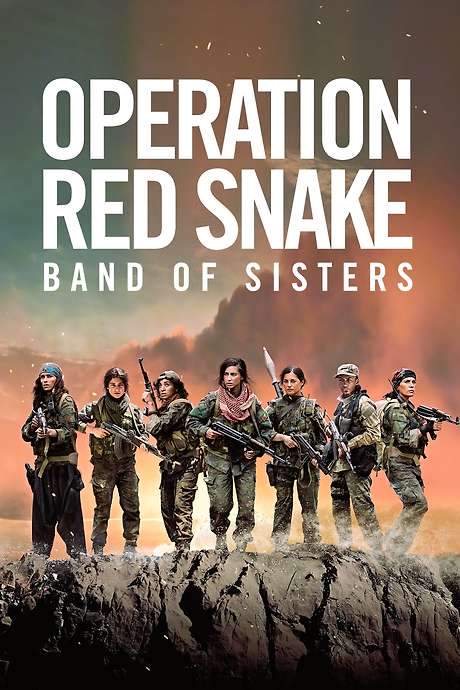 Sisters in Arms (2019) movie poster