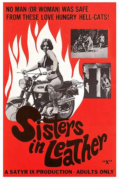 Sisters in Leather (1969) movie poster