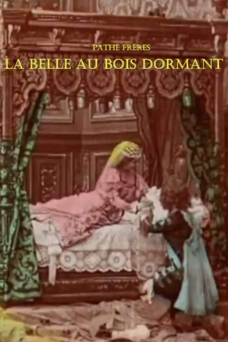 Sleeping Beauty (1908) movie poster