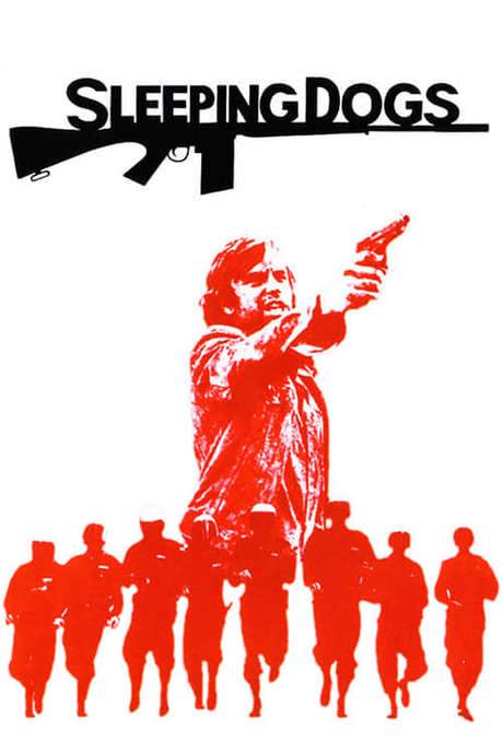 Sleeping Dogs (1977) movie poster