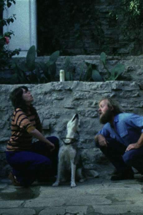 Sleeping Dogs (Never Lie) (1978) movie poster