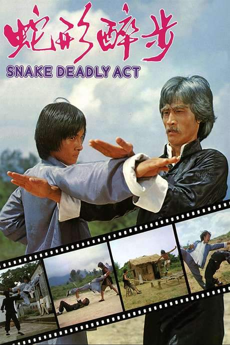 Snake Deadly Act (1980) movie poster