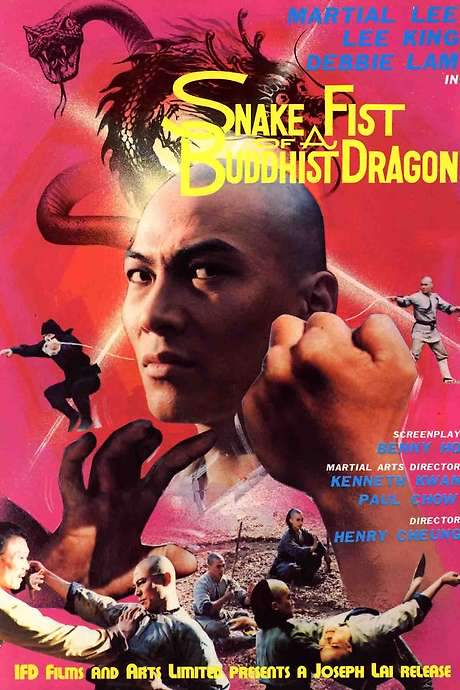Snake Fist of the Buddhist Dragon (1979) movie poster